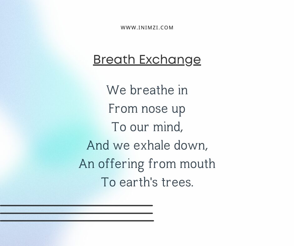 We breathe in From nose up To our mind, And we exhale down, An offering from mouth To earth's trees.